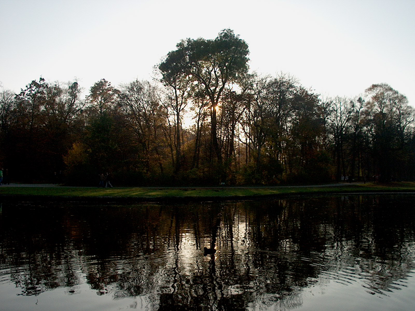 Nyphenburger Park 054 